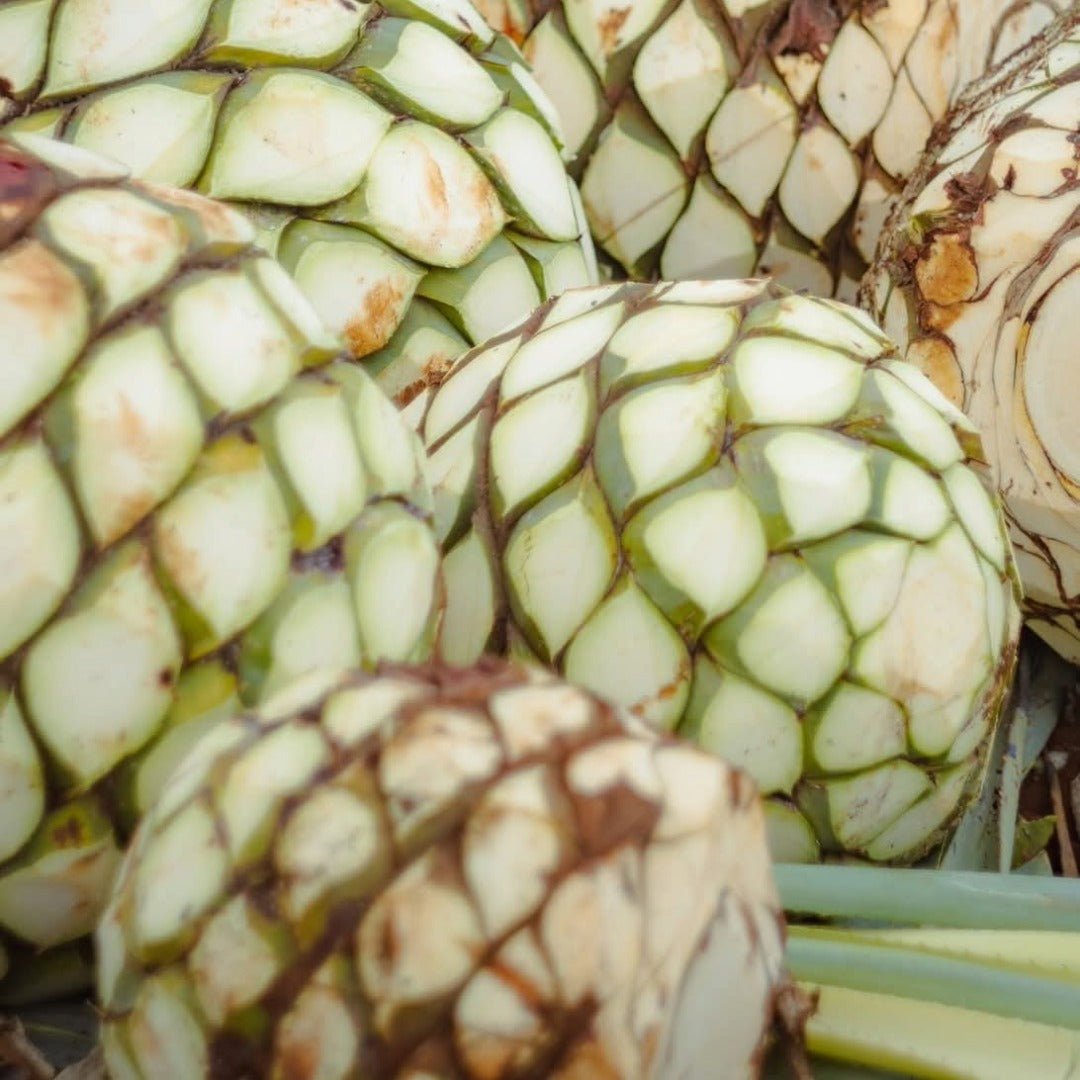 Cazcabel Tequila Anejo - Latitude Wine & Liquor Merchant