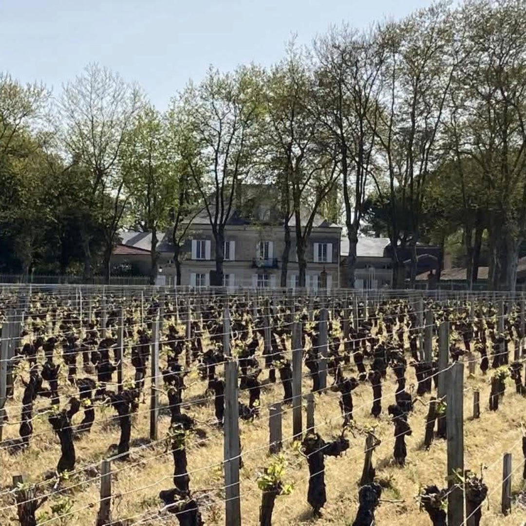 Chateau Batailley Pauillac Grand Cru Classe
