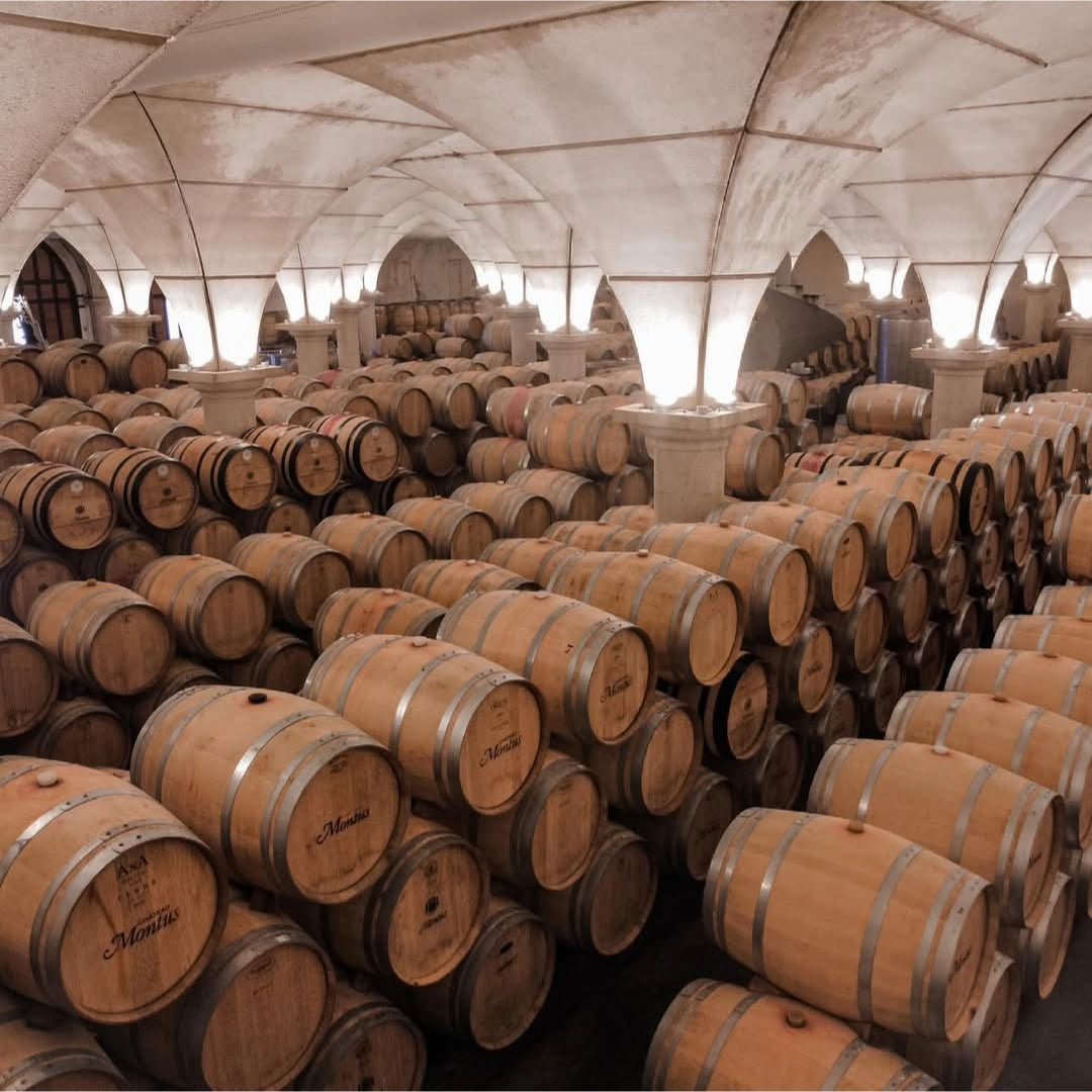 Chateau Bouscasse Vieilles Vignes Madiran