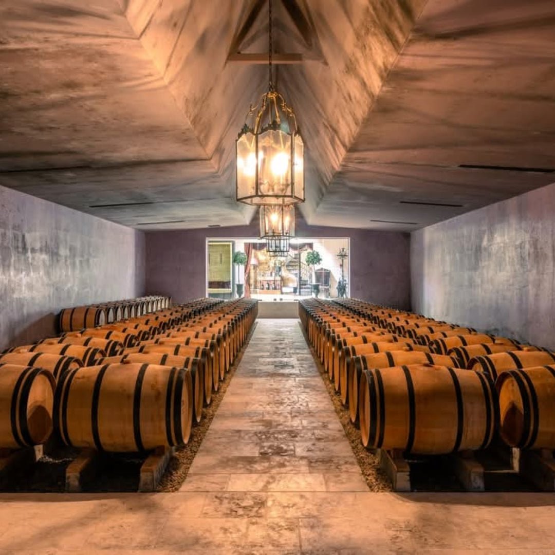Chateau De Lussac - Lussac Saint-Emilion
