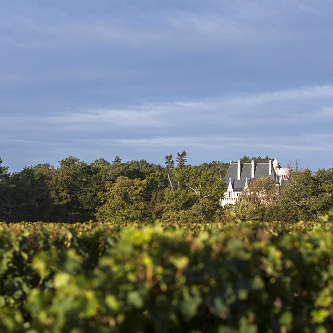 Chateau de Pitray Les Prairies Castillon Cotes de Bordeaux