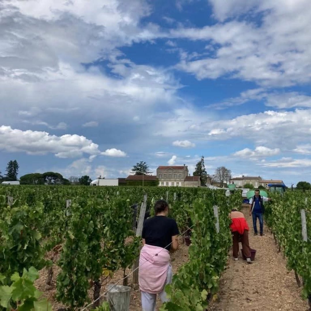 Chateau Domaine De L'Eglise Pomerol - Latitude Wine & Liquor Merchant