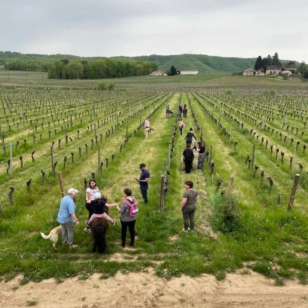 Chateau Famaey Cahors Malbec