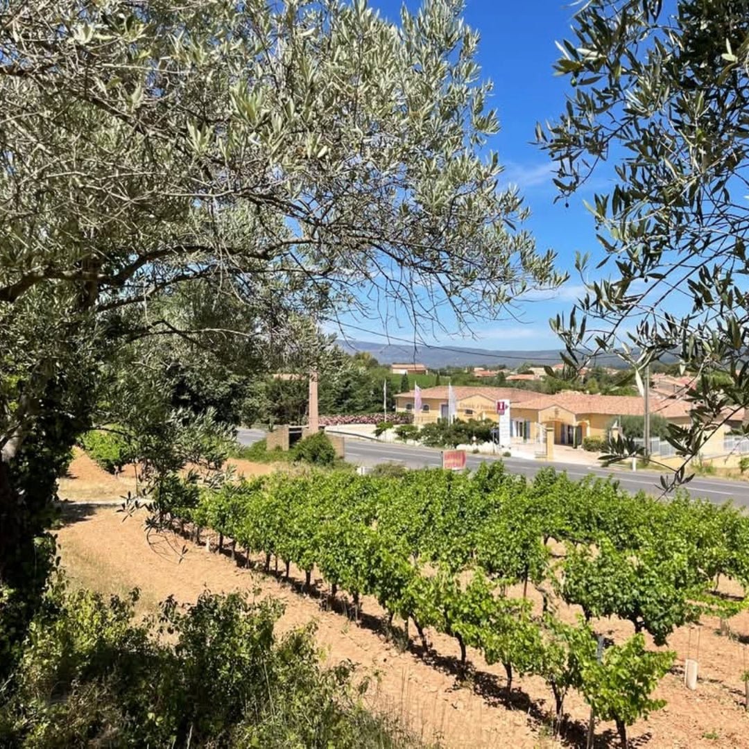 Chateau Ferrages Mon Plaisir Cotes Des Provence Rose