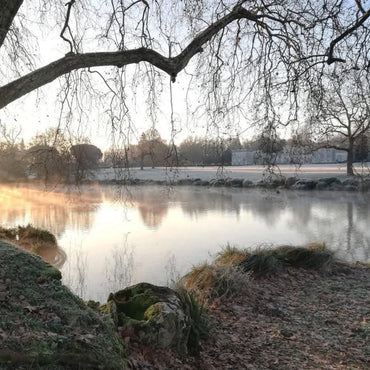 Chateau Filhot Sauternes 75cl - Latitude Wine & Liquor Merchant