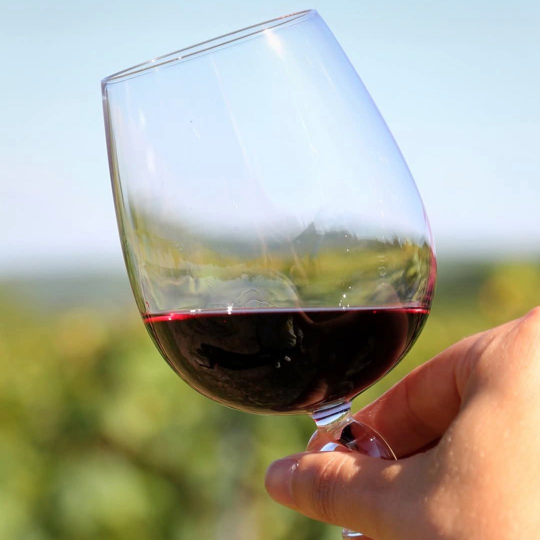 Chateau Pineraie Cahors L'Authentique - Latitude Wine & Liquor Merchant