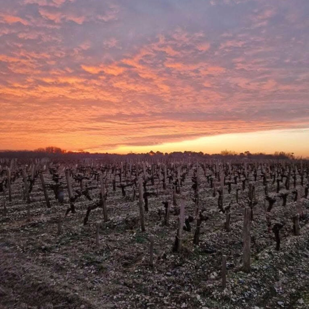 Chateau Tayac Margaux