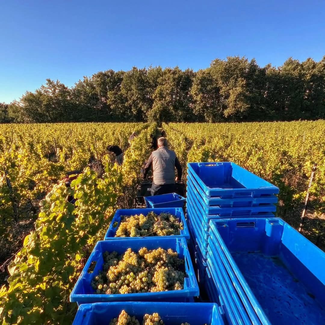 Chateau Tour Des Gendres Cantaloutte - Latitude Wine & Liquor Merchant