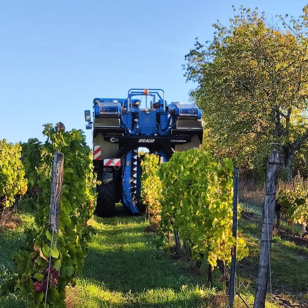 Chateau Tour Des Gendres Cantaloutte - Latitude Wine & Liquor Merchant
