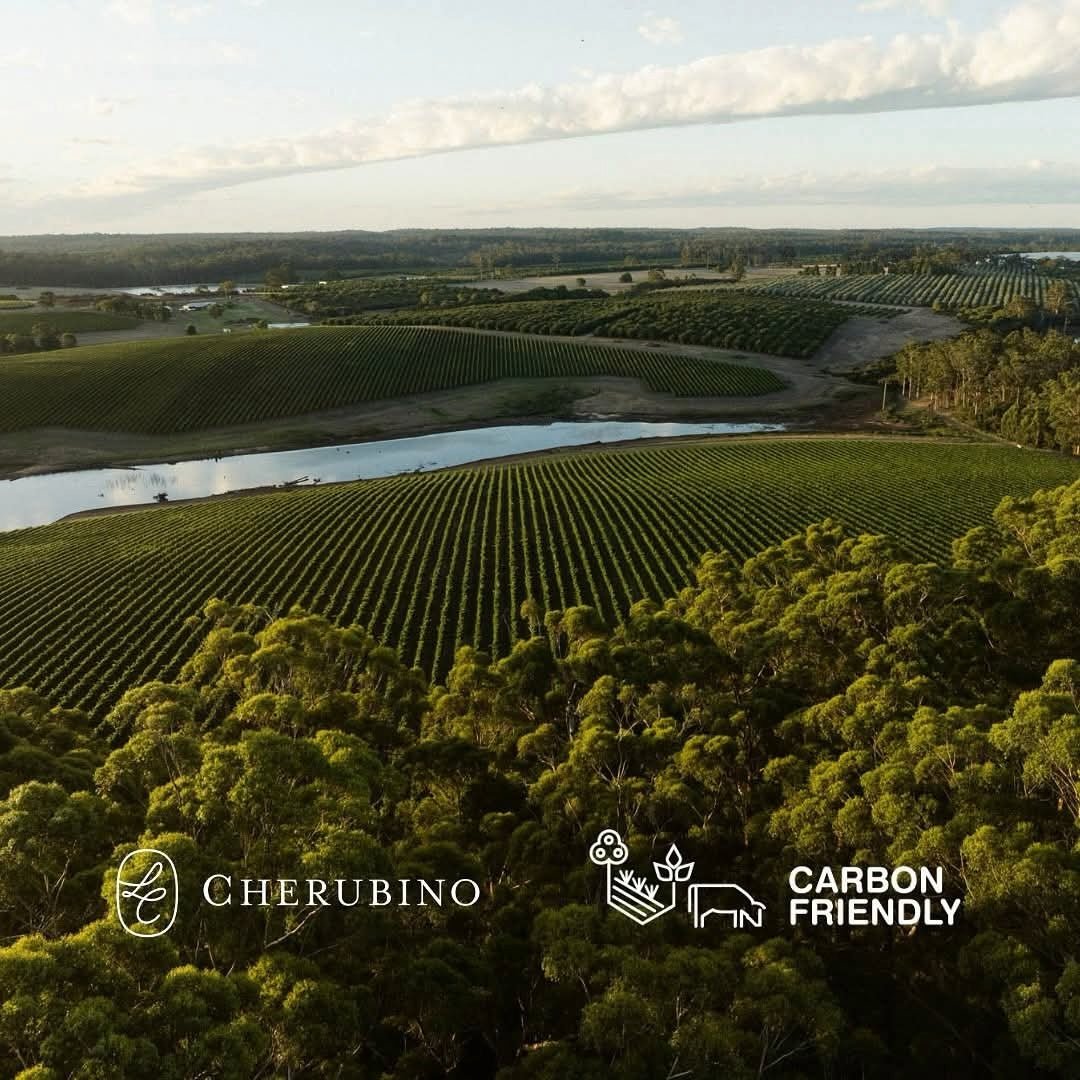 Cherubino Ad Hoc Cruel Mistress Pinot Noir - Latitude Wine & Liquor Merchant