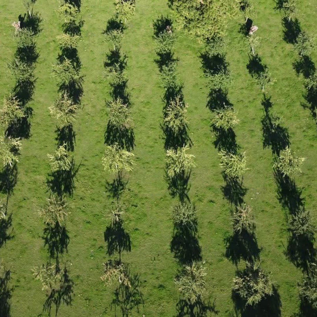 Christian Drouin ABC Calvados Aperitif - Latitude Wine & Liquor Merchant