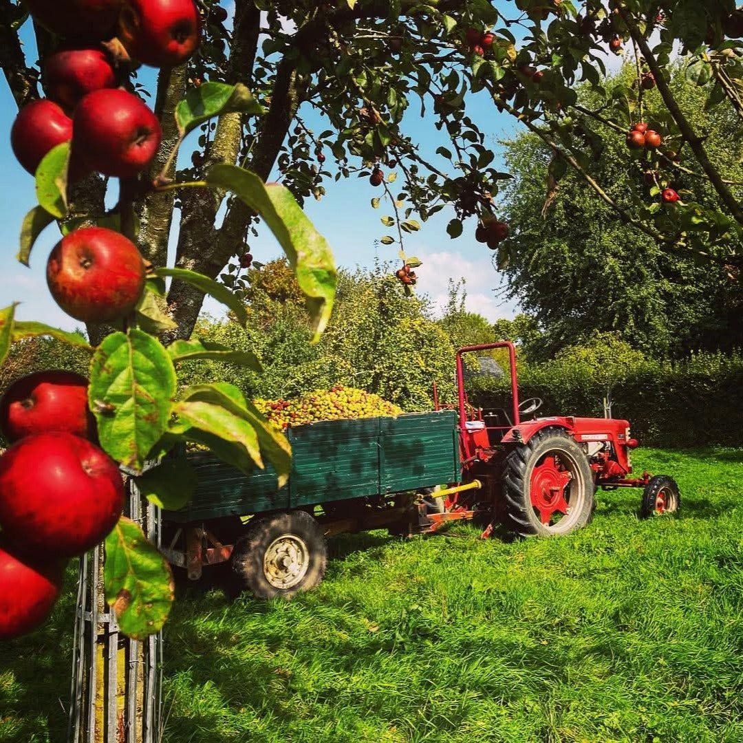 Christian Drouin ABC Calvados Aperitif - Latitude Wine & Liquor Merchant