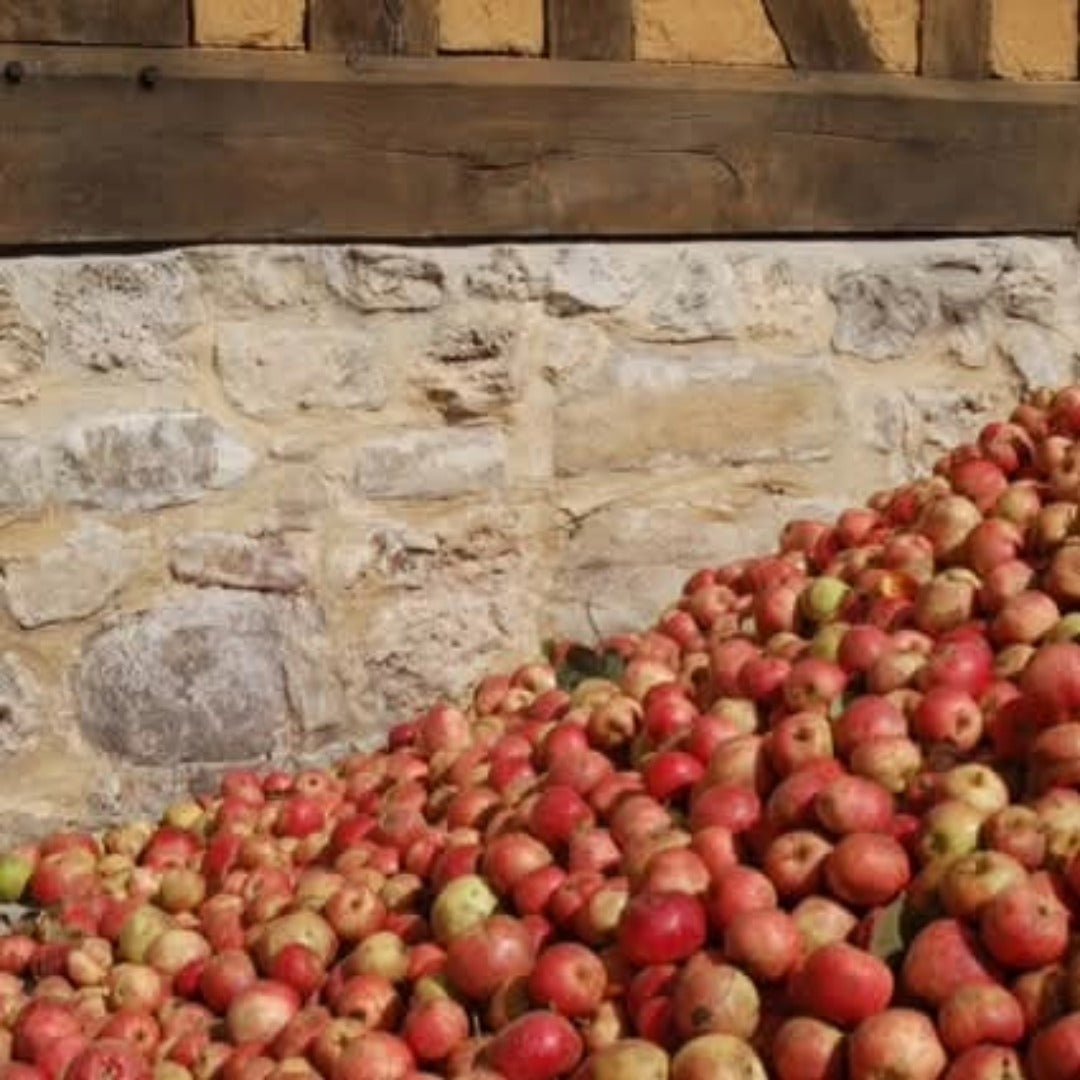 Christian Drouin ABC Calvados Aperitif - Latitude Wine & Liquor Merchant