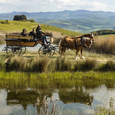 Ciacci Piccolomini dAragona IGT Toscana - Latitude Wine & Liquor Merchant