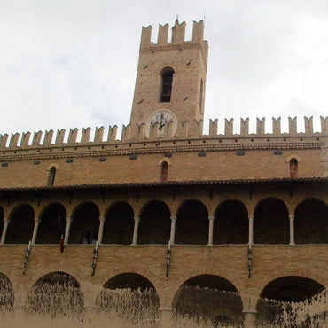 Ciu Ciu Merlettaie Pecorino - Latitude Wine & Liquor Merchant