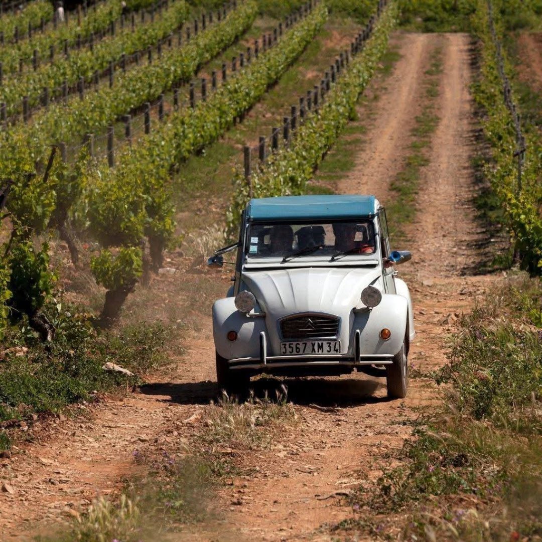 Clos Bagatelle Rouge A l'Origine Saint - Chinian - Latitude Wine & Liquor Merchant