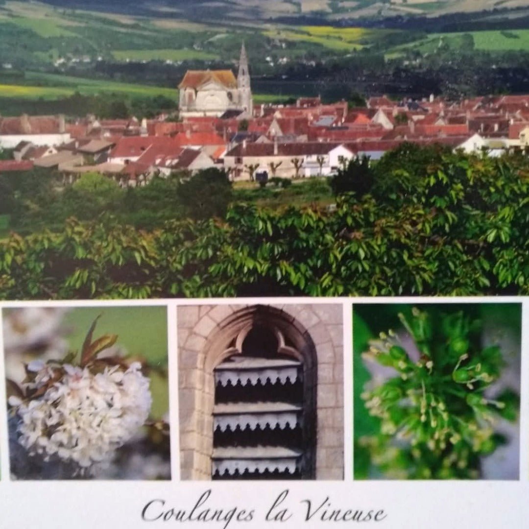 Clos du Roi Coulanges-la-Vineuse Pinot Noir 'L'imtemporelle No.7