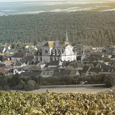 Clos du Roi Coulanges - la - Vineuse Pinot Noir 'L'imtemporelle No.7 - Latitude Wine & Liquor Merchant