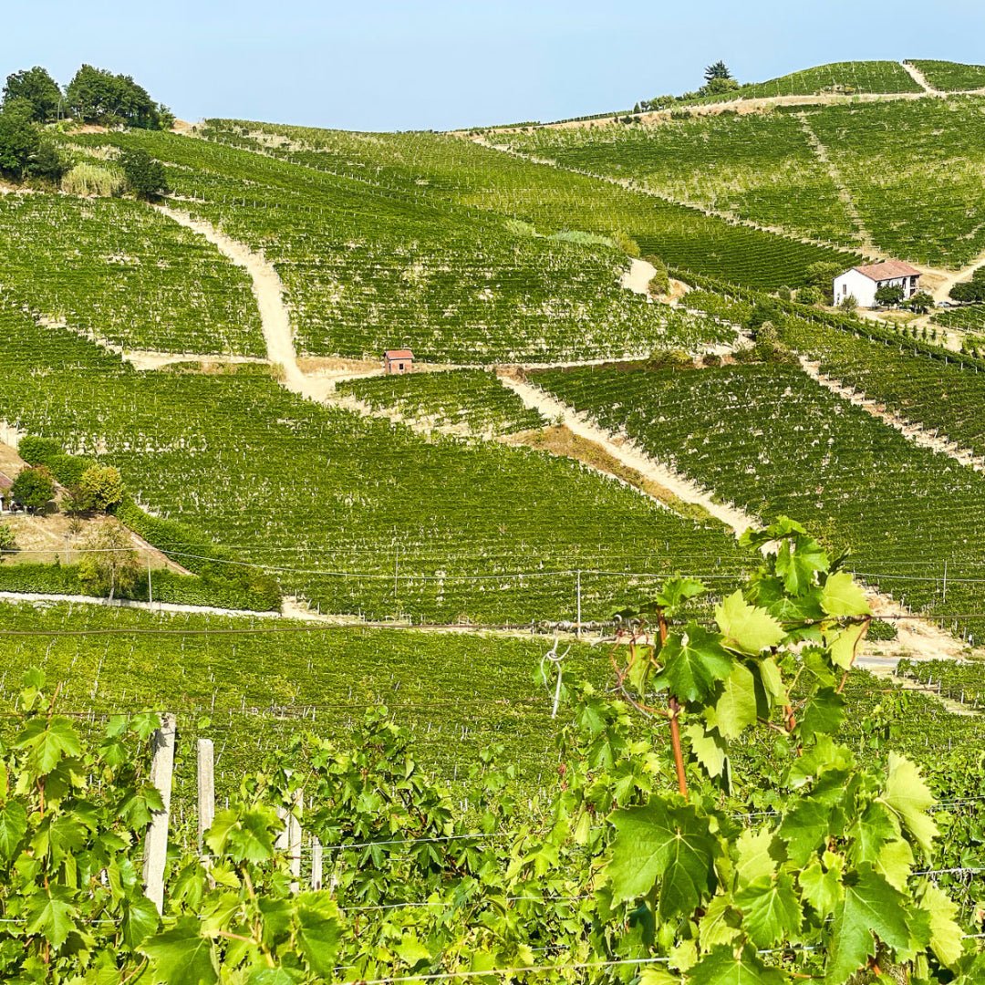 Contero Moscato D'Asti