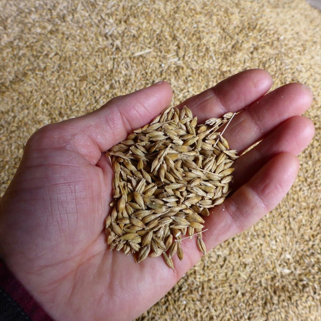 Cooper King Transatlantic Yorkshire Single Malt - Latitude Wine & Liquor Merchant