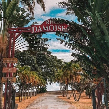 Damoiseau Rhum Agricole XO - Latitude Wine & Liquor Merchant