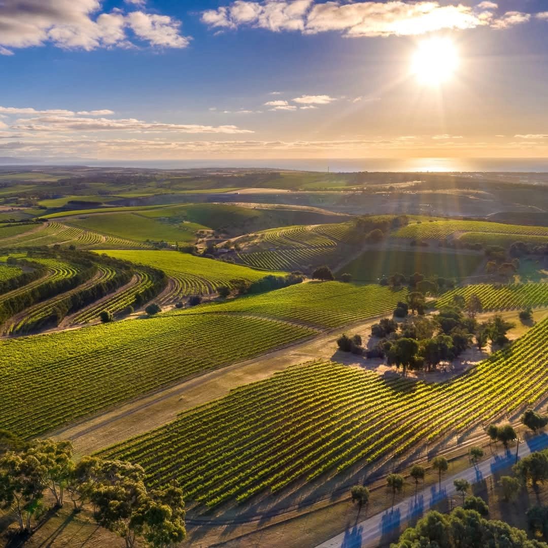 Dandelion Vineyards 'Pride of the Fleurieu' Cabernet Sauvignon - Latitude Wine & Liquor Merchant