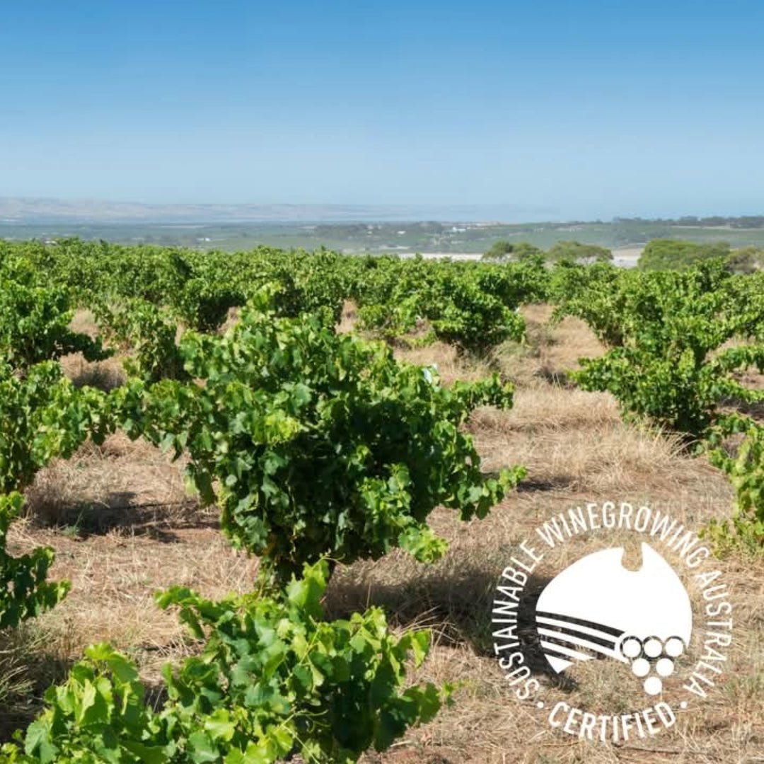 Dandelion Vineyards 'Pride of the Fleurieu' Cabernet Sauvignon - Latitude Wine & Liquor Merchant