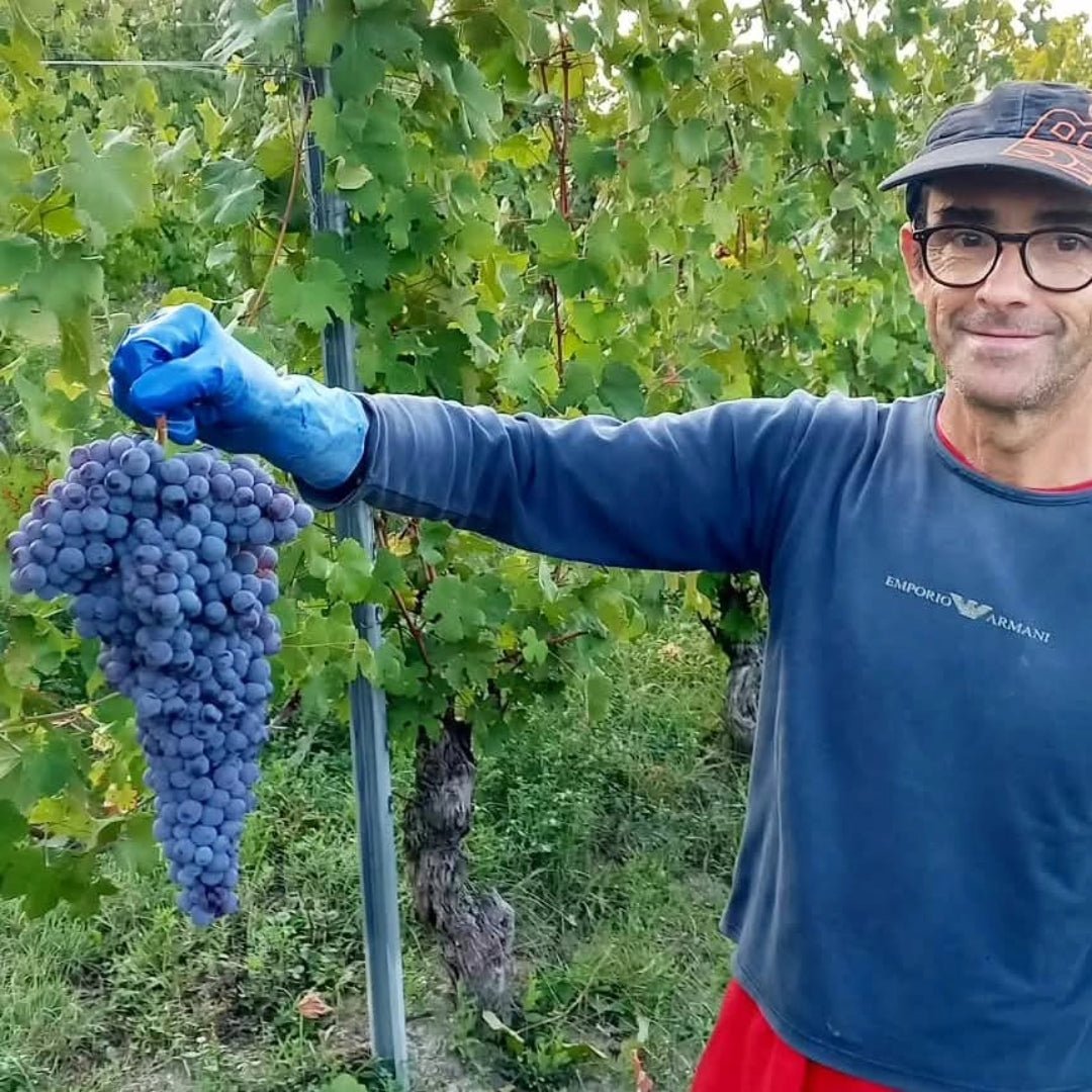 Dardi Le Rose Barolo Bussia - Latitude Wine & Liquor Merchant