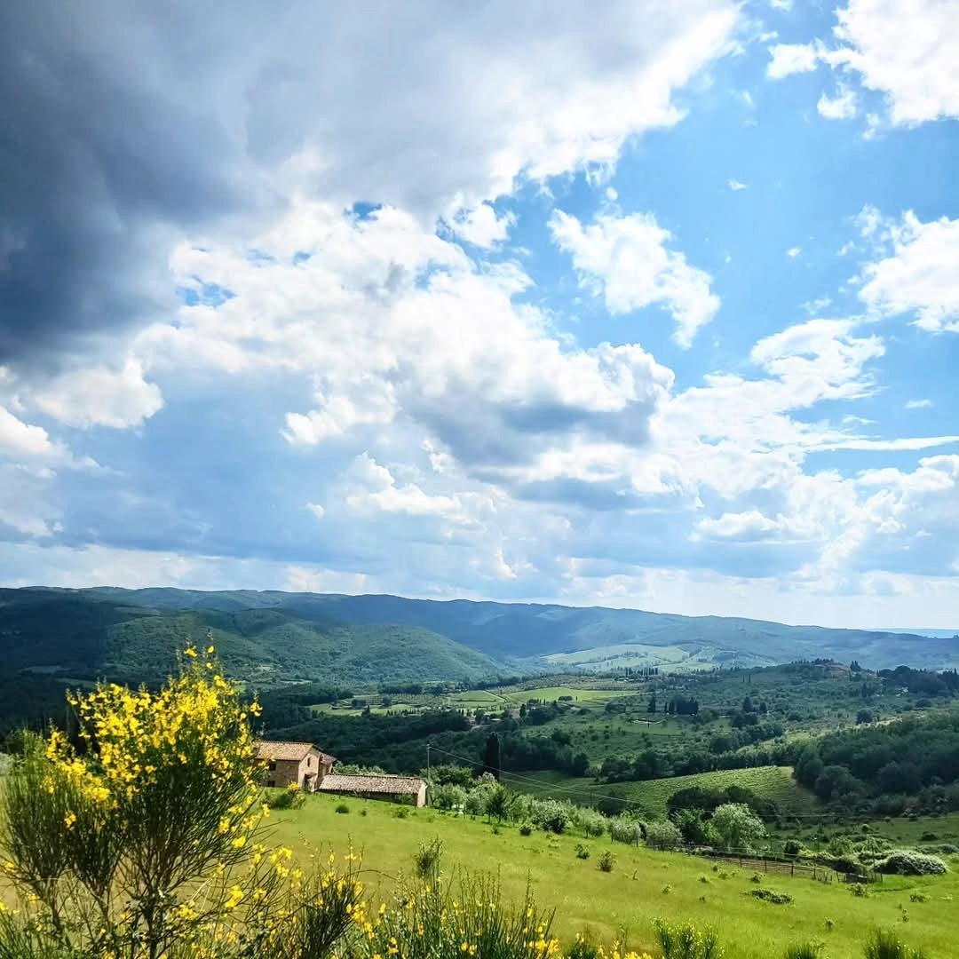 Dardi Le Rose Barolo Bussia - Latitude Wine & Liquor Merchant