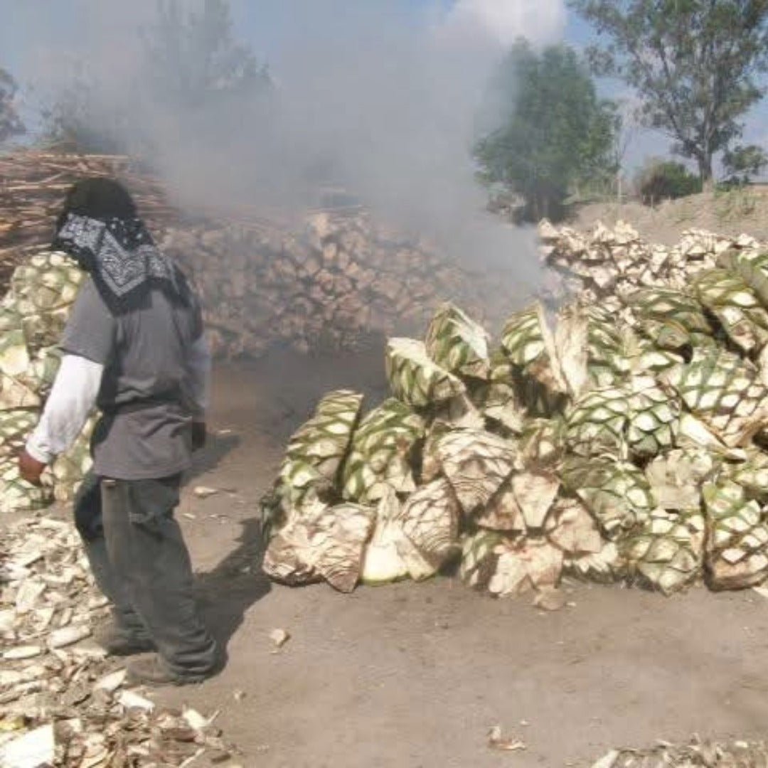 Derrumbes Mezcal - Michoacan - Latitude Wine & Liquor Merchant