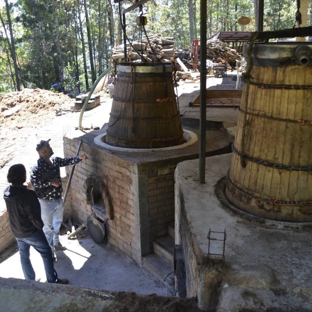 Derrumbes Mezcal - San Luis Potosi