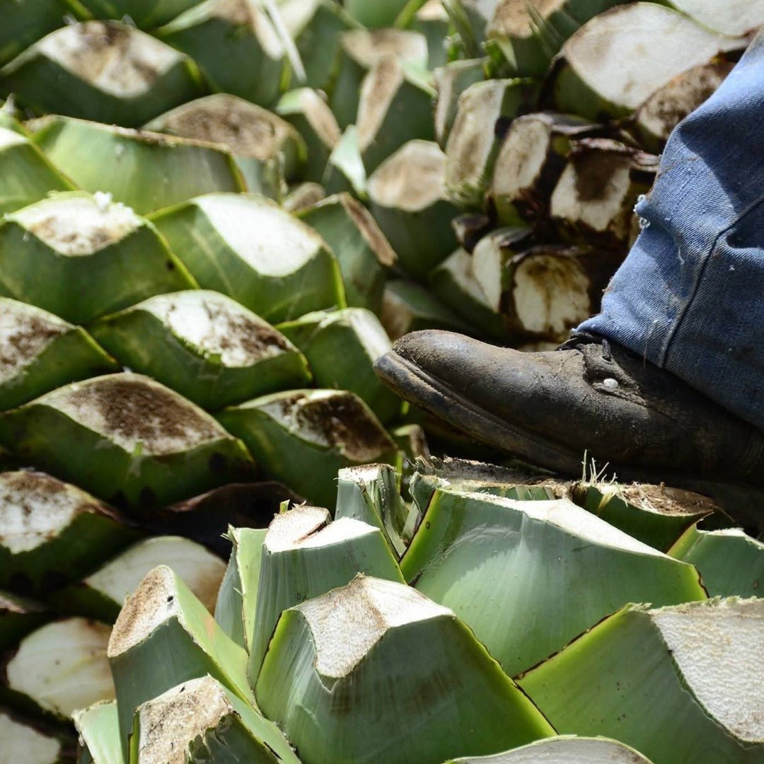 Derrumbes Mezcal - Michoacan - Latitude Wine & Liquor Merchant