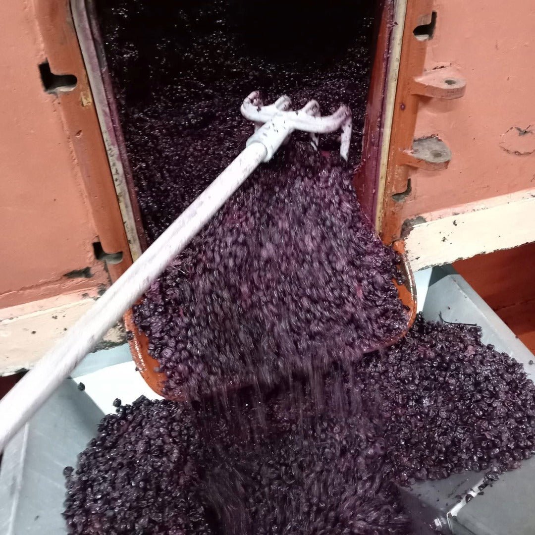 Divin Pet Nat Rose - Latitude Wine & Liquor Merchant