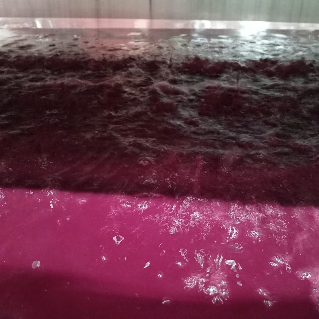 Divin Gamay Demi Sec Pet Nat Rose