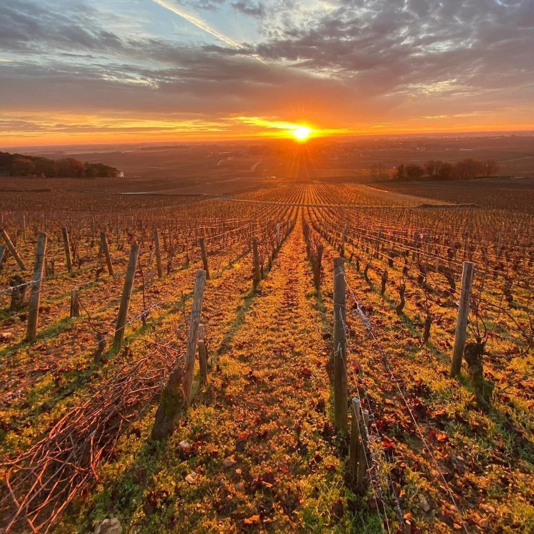 Domaine Alain Chavy Puligny-Montrachet Les 8 Climats