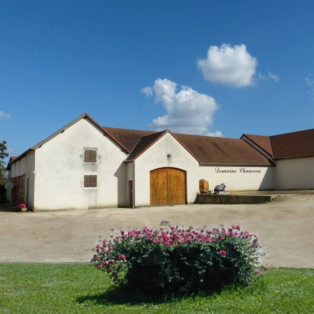 Benoit Chauveau Pouilly Fume