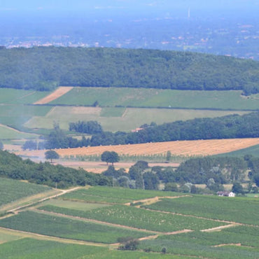 Domaine De Rochebin Bourgogne Chardonnay - Latitude Wine & Liquor Merchant
