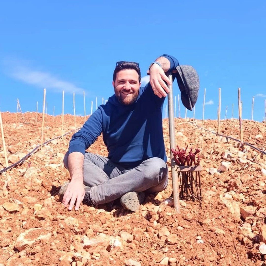 Domaine des Tourelles Marquis des Beys Red - Latitude Wine & Liquor Merchant