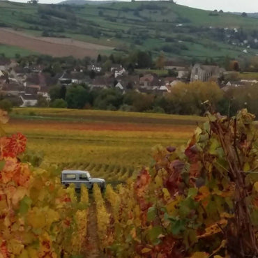 Domaine Franck Lamargue Auxey - Duresses Les Hautes - Latitude Wine & Liquor Merchant