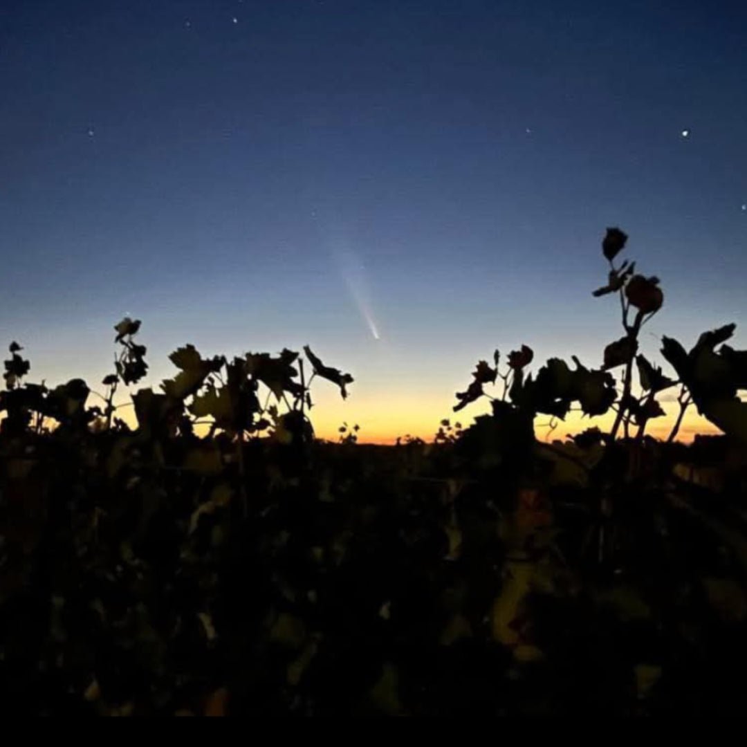 Domaine Grange Neuve Monbazillac