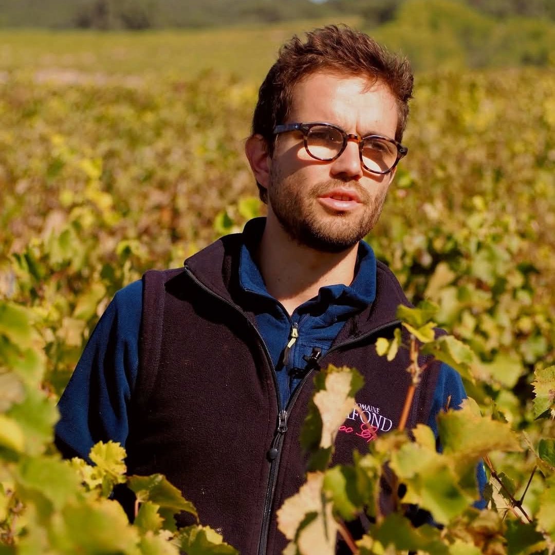Domaine Lafond Roc - Epine Lirac Rouge - Latitude Wine & Liquor Merchant
