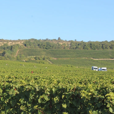 Domaine Mongeard - Mugneret Vosne - Romanee 1er Cru `Les Orveaux` - Latitude Wine & Liquor Merchant