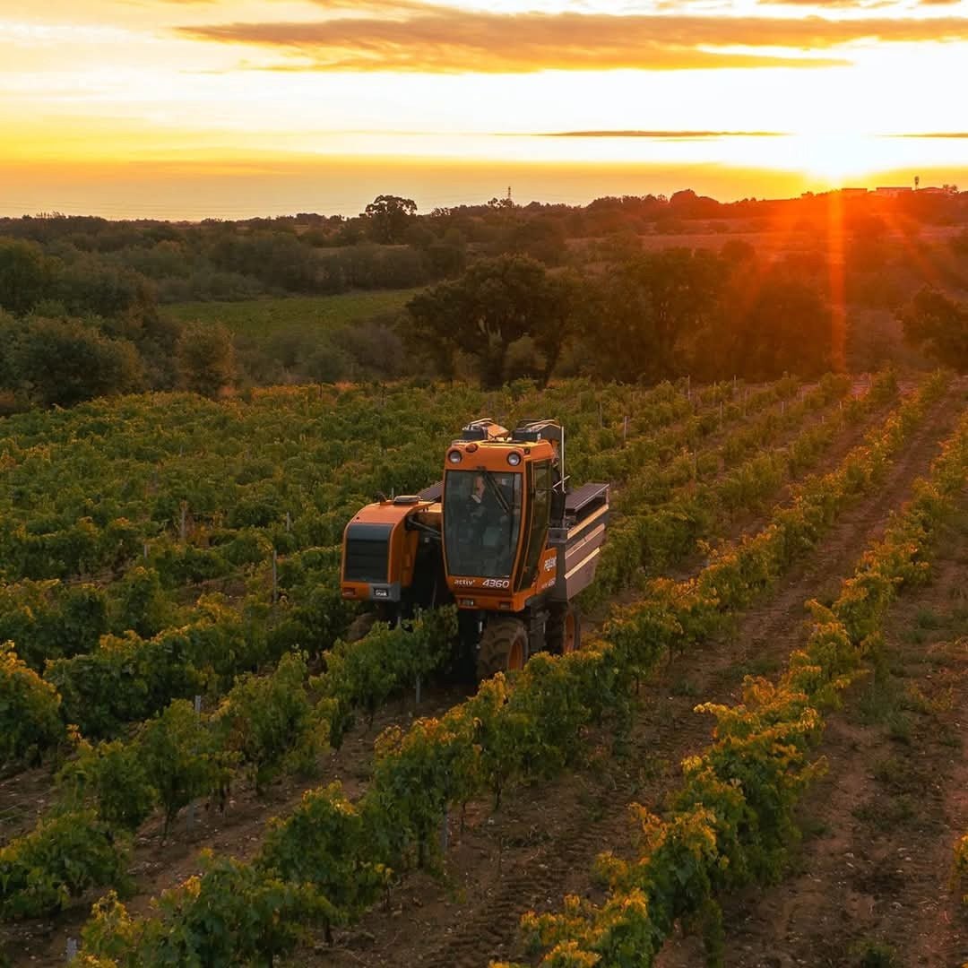 Domaine Trilles Calignan Vieille Vigne - Latitude Wine & Liquor Merchant