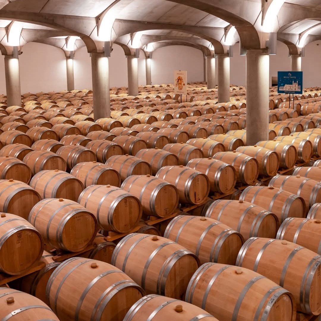 Donnafugata Sur Sur Grillo