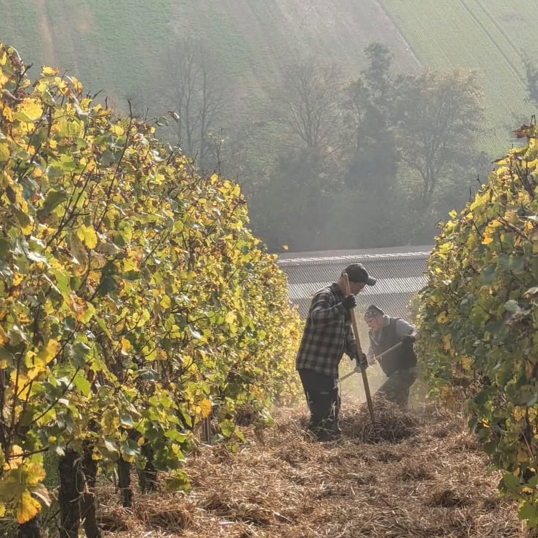 Donnhoff Kreuz Kahlenberg Dry Riesling - Latitude Wine & Liquor Merchant