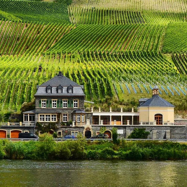 Dr Loosen Wurzgarten Vermut - Latitude Wine & Liquor Merchant