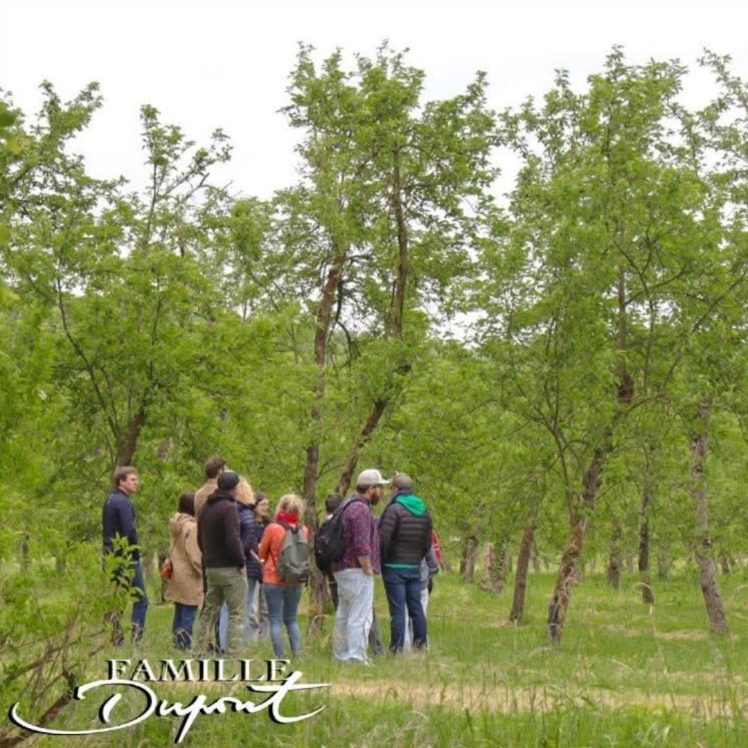 Dupont VSOP Calvados - Latitude Wine & Liquor Merchant
