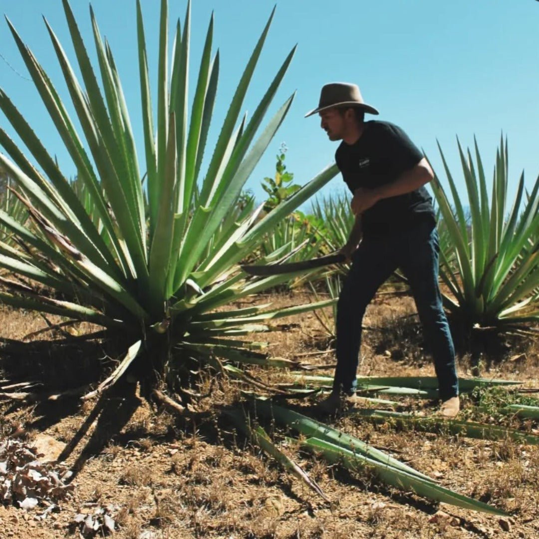 El Cabron Mezcal Joven - Latitude Wine & Liquor Merchant