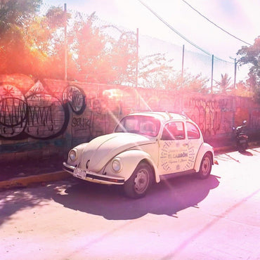 El Cabron Mezcal Joven - Latitude Wine & Liquor Merchant