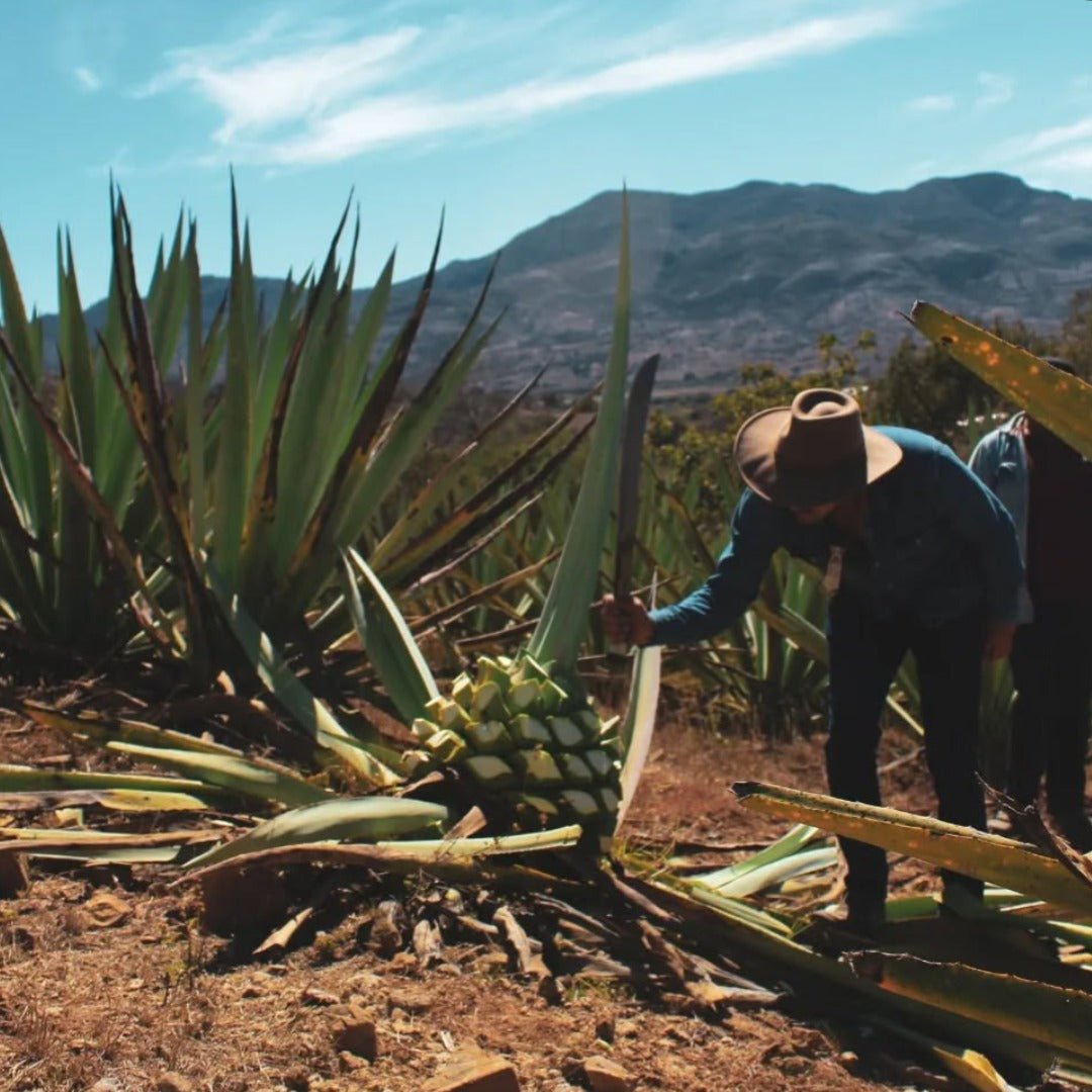 El Cabron Mezcal Joven - Latitude Wine & Liquor Merchant